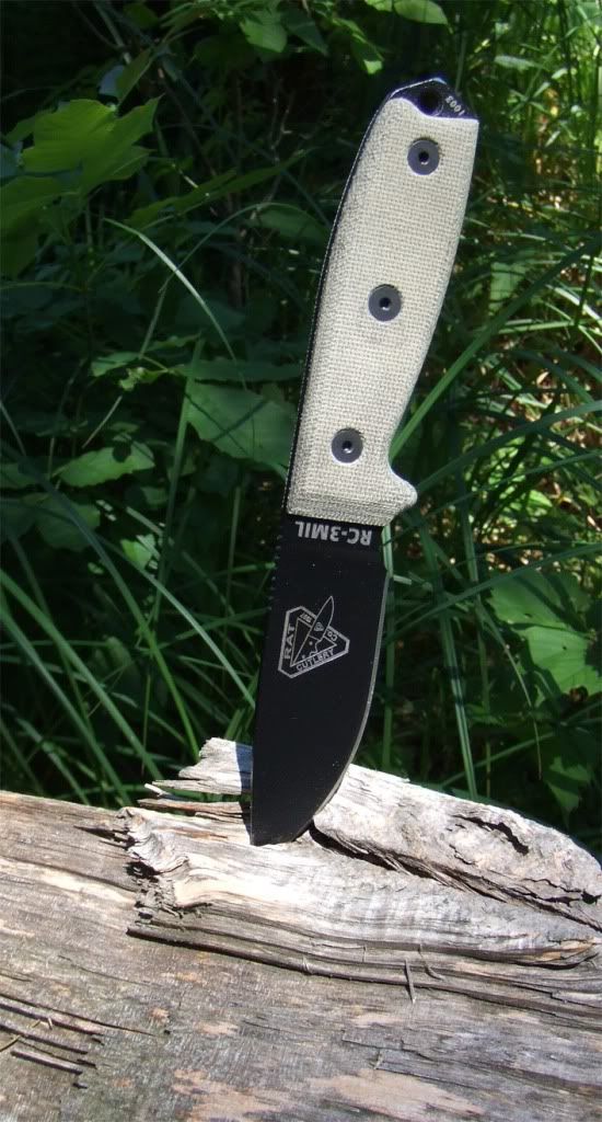 Woods-3.jpg