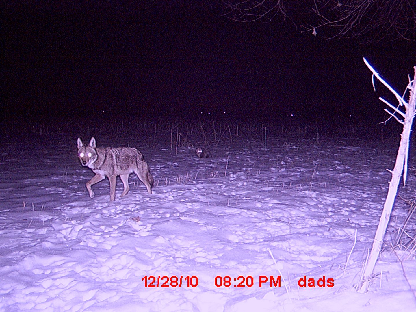 MDGC0211.jpg