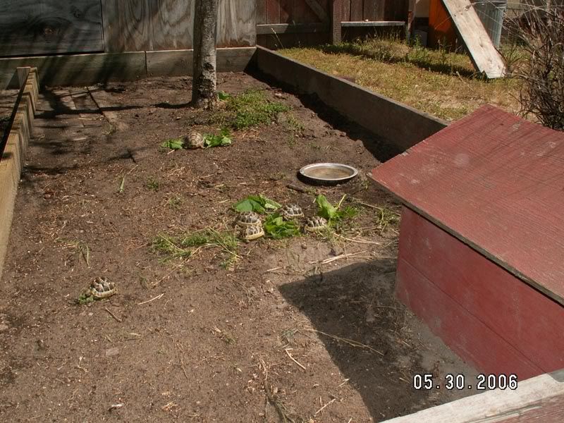 PICT1081.jpg