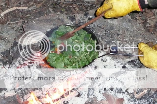 Nettlestirfry1.jpg