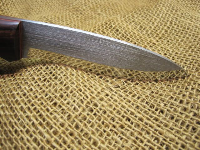 Marchh142010002.jpg