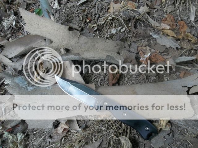 100_3462.jpg