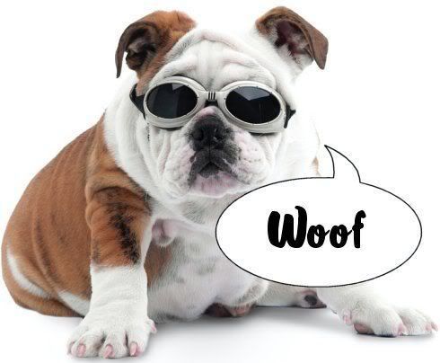 woof.jpg