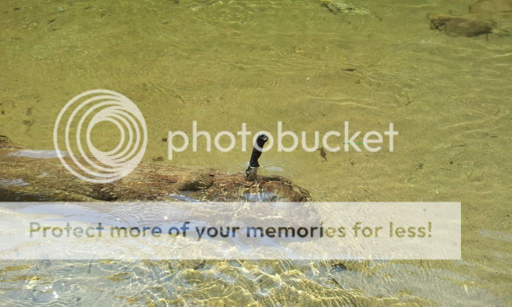 2012-05-25134820.jpg