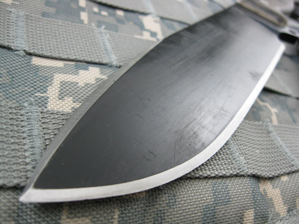 Busse_SHSHII_010.jpg