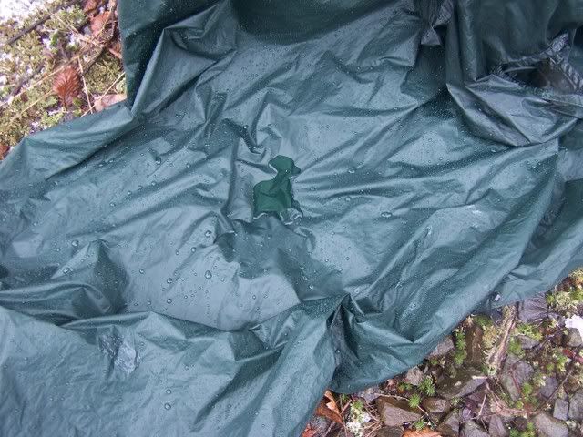100_5828.jpg
