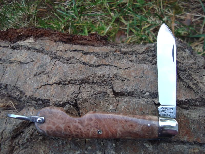 redmallee2.jpg