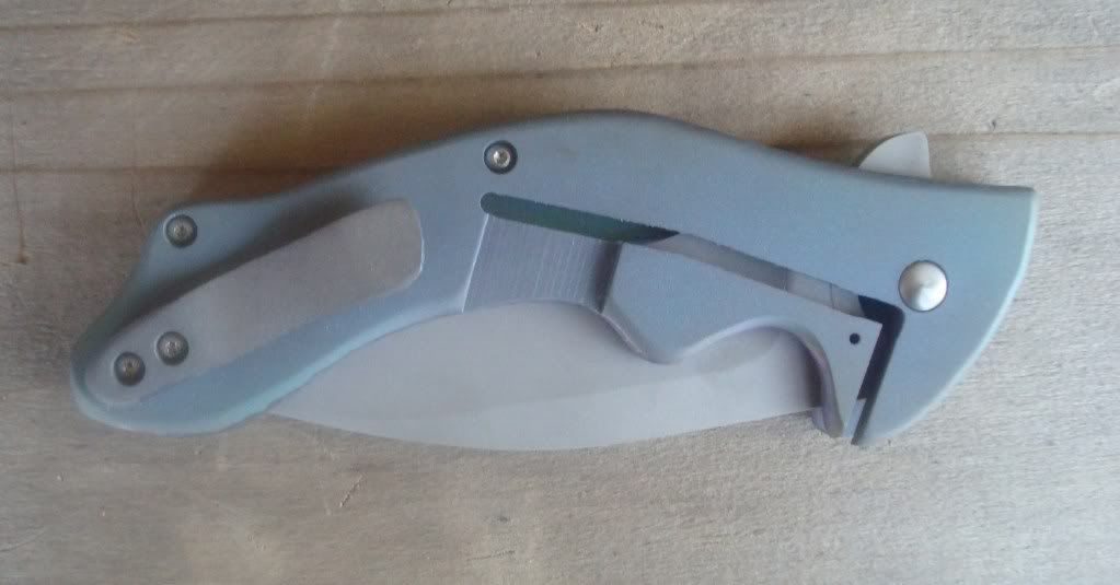 flipper12710024.jpg