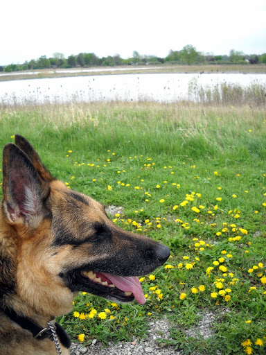 DSCN0212.JPG