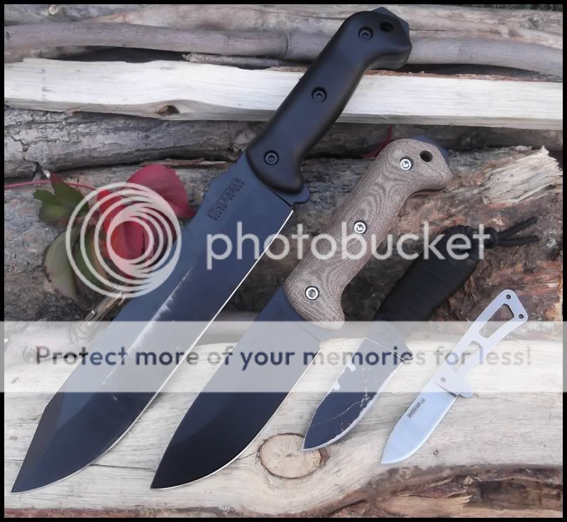 Beckers2-1.jpg