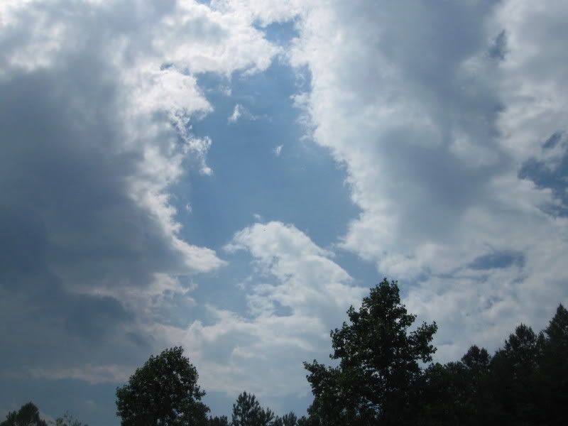 IMG_1558.jpg