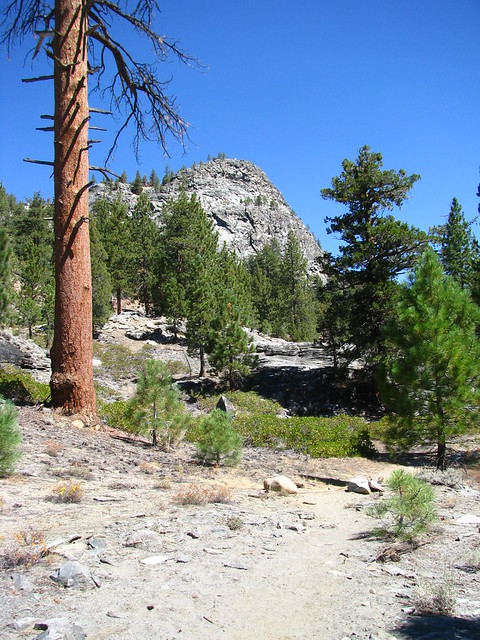 4965791332_8c966ca0cb_z.jpg