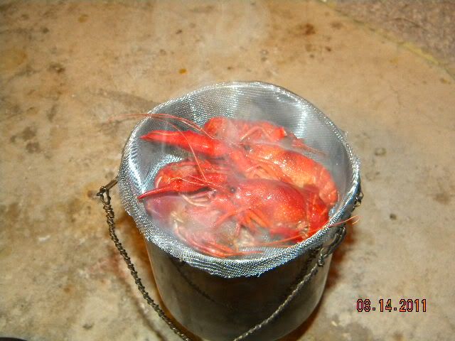 DSCN3480.jpg