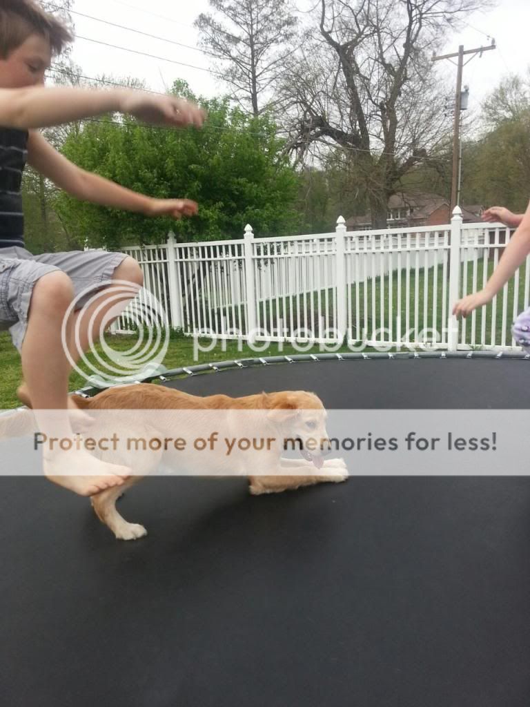 2014042795183125_zpscbeffecd.jpg