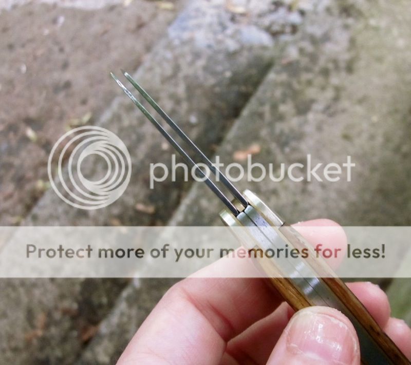 IMG_0880.jpg~original