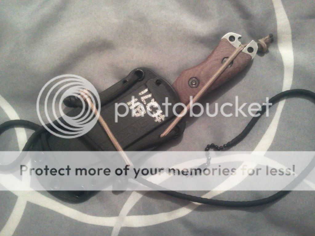 2012-11-11131354.jpg