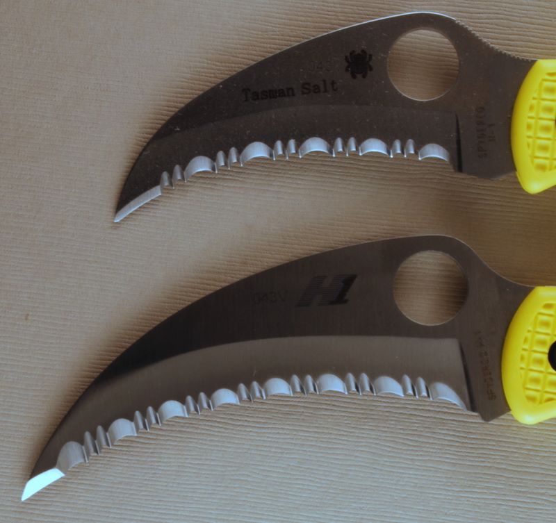 tasman_spyderhawk_serrations.jpg