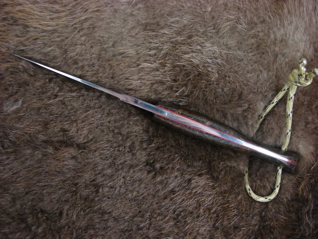 DSC05882.jpg