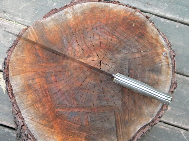DSCN1153.jpg