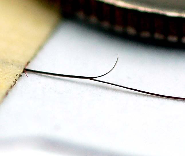 splittinghairs5.jpg