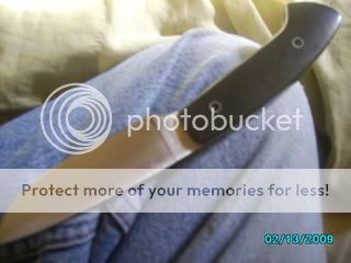 pics009.jpg