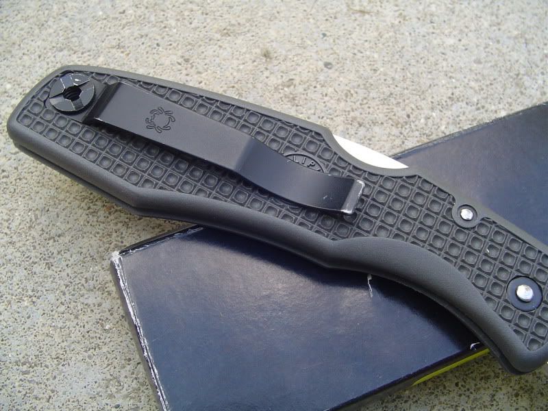 OctSpyd004.jpg