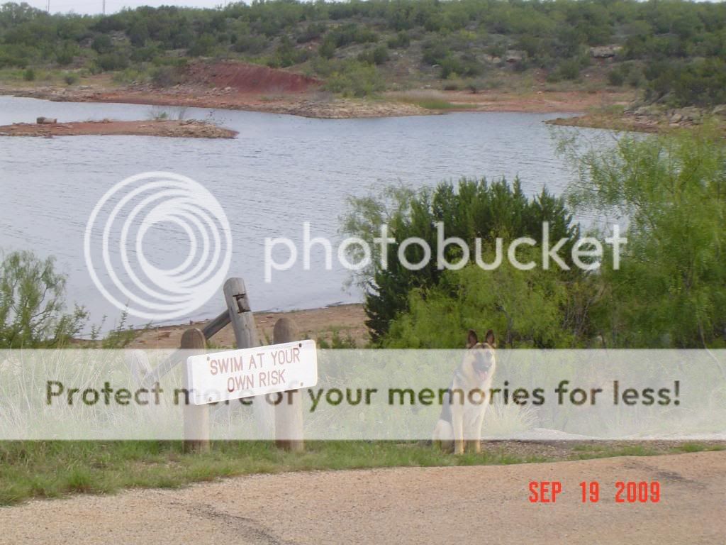 Picture001.jpg