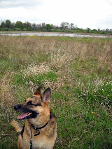 DSCN0205.JPG