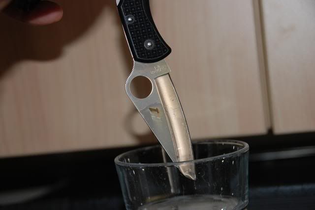 DSC_1598.jpg