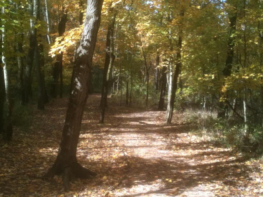 trail_zps264e8b76.jpg