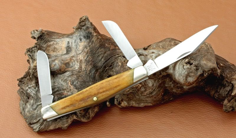 Elk301a.jpg