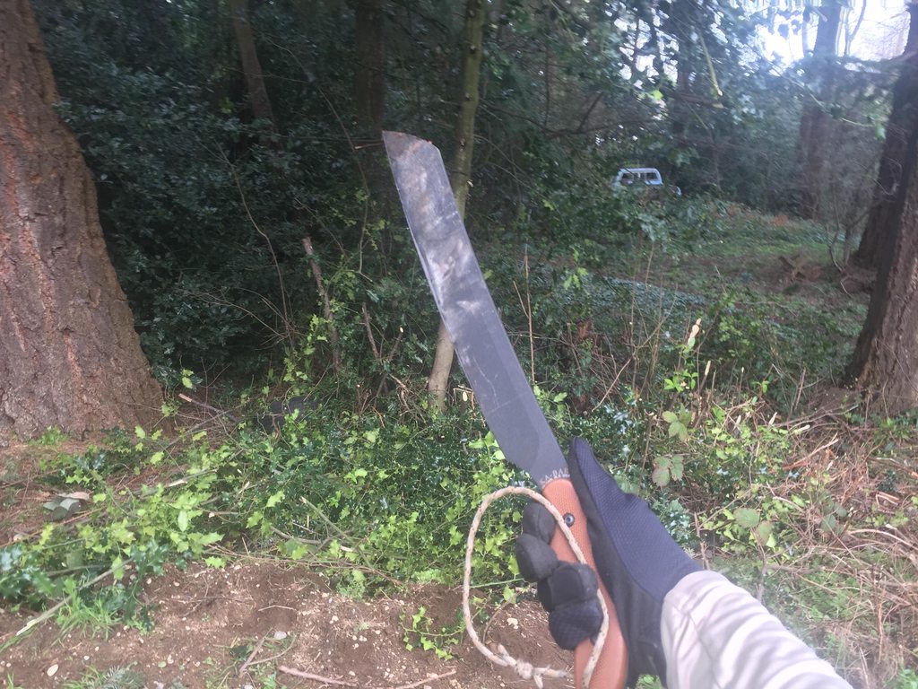 TncvE5qh.jpg