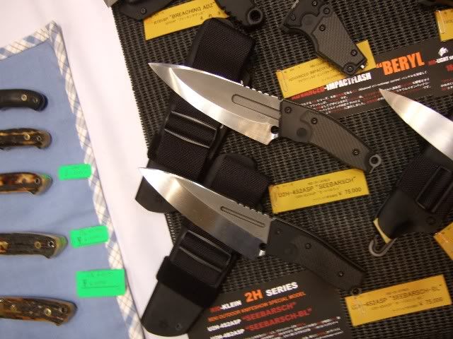 seki08a_11.jpg