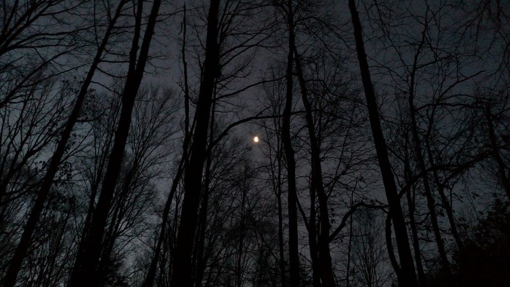 IMG_20170218_063545183.jpg