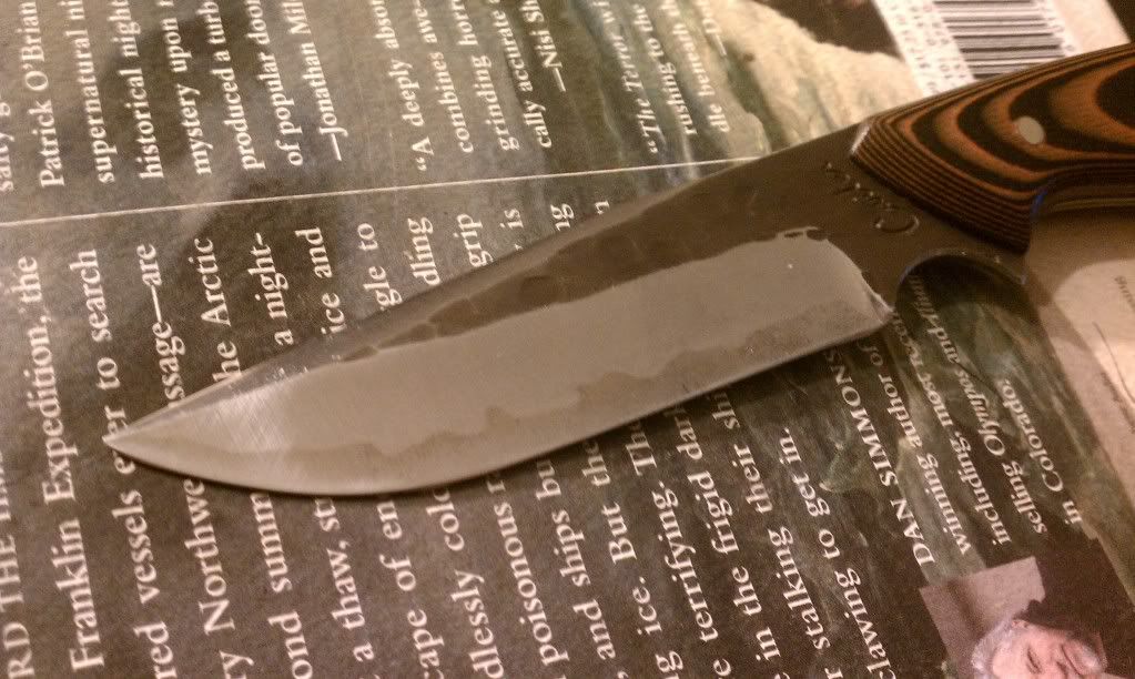 IMAG0102.jpg