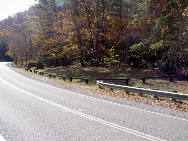 DSC03517.jpg