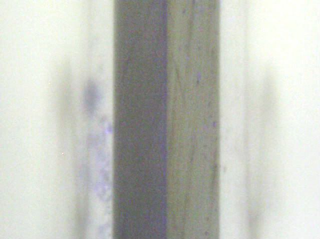 CPMD2curels2.jpg