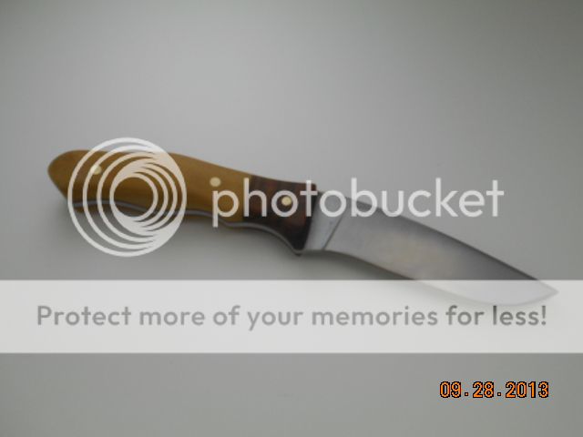 DSCN0232.jpg