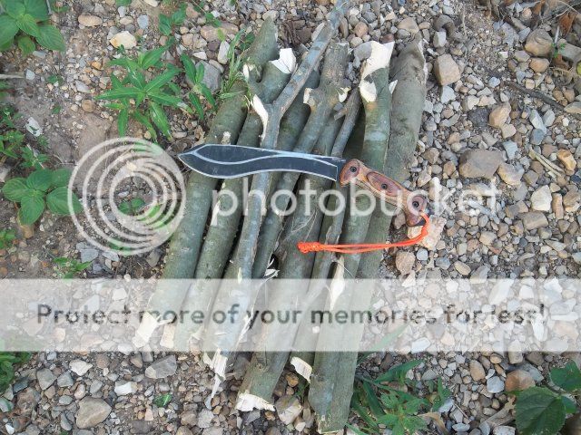 100_2063.jpg