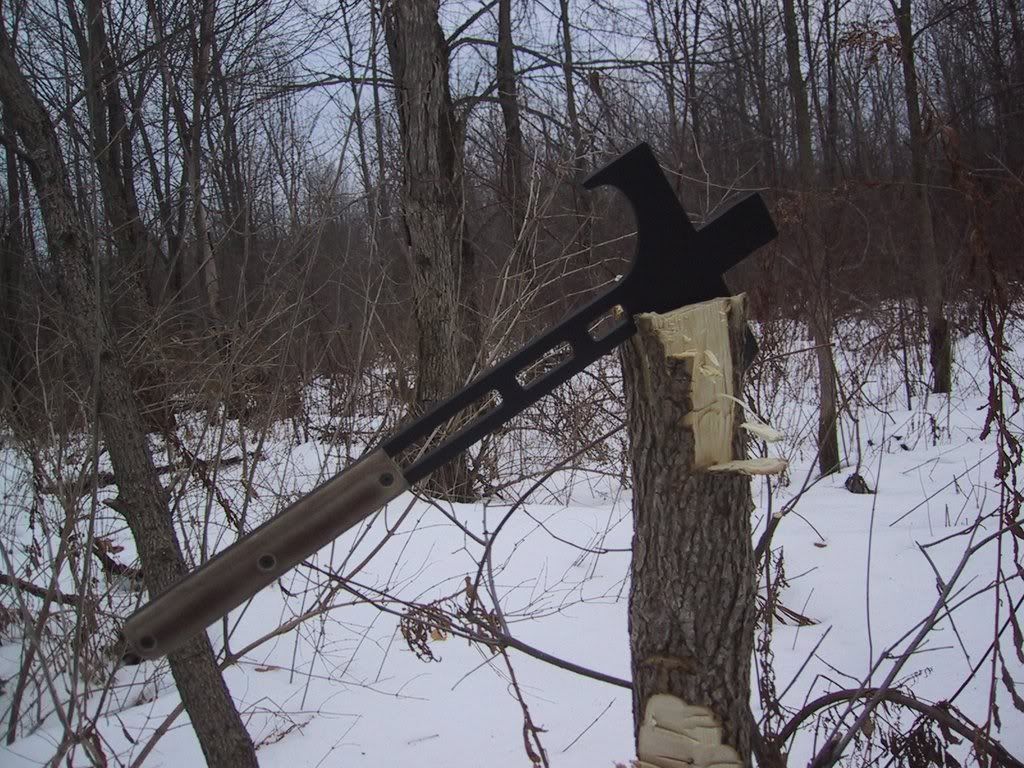 image1-21.jpg
