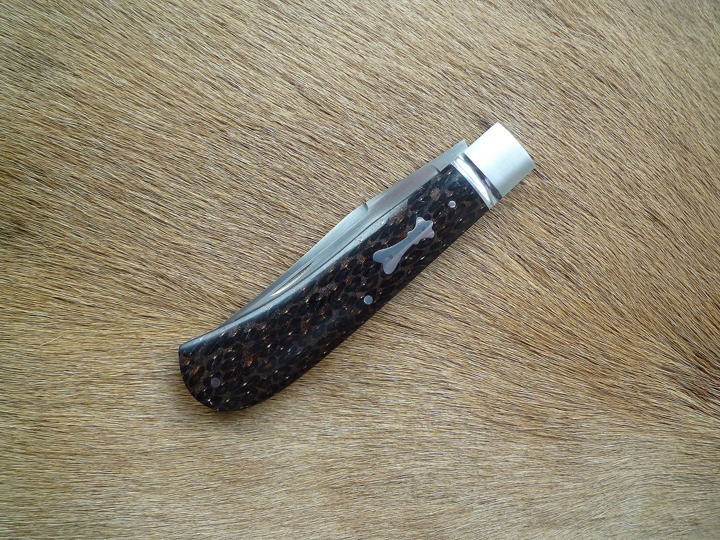 Black%20Palm%20BackPocket%2001.jpg