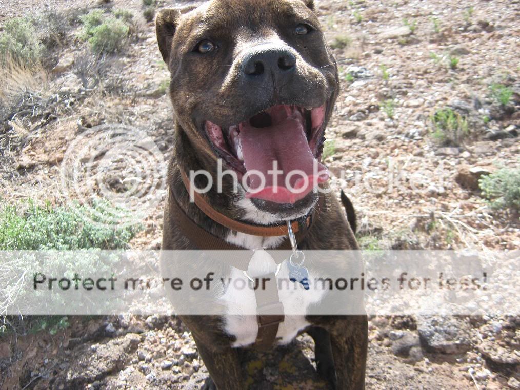AprilHikes004.jpg