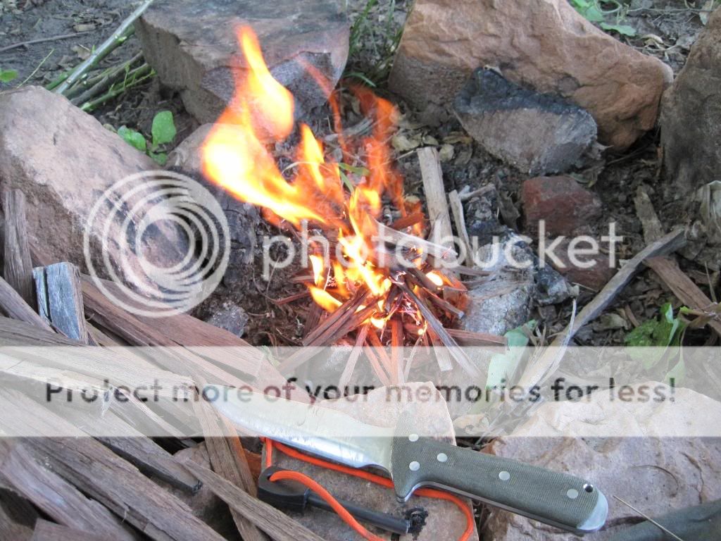 IMG_0055.jpg