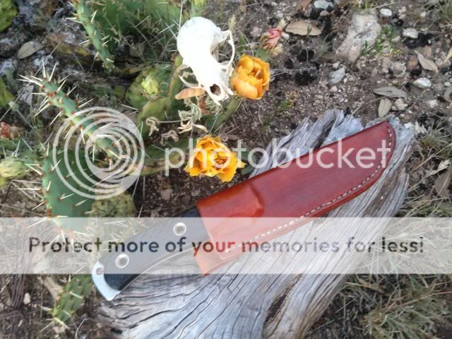 photo5_zpsaa14304e-1.jpg