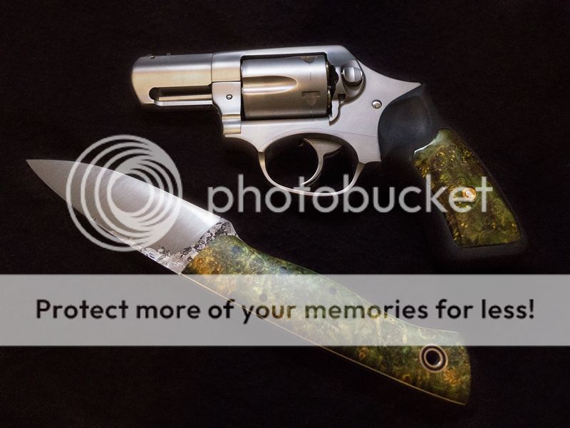 Sp10Fiddle01_zps7a2ee64c.jpg