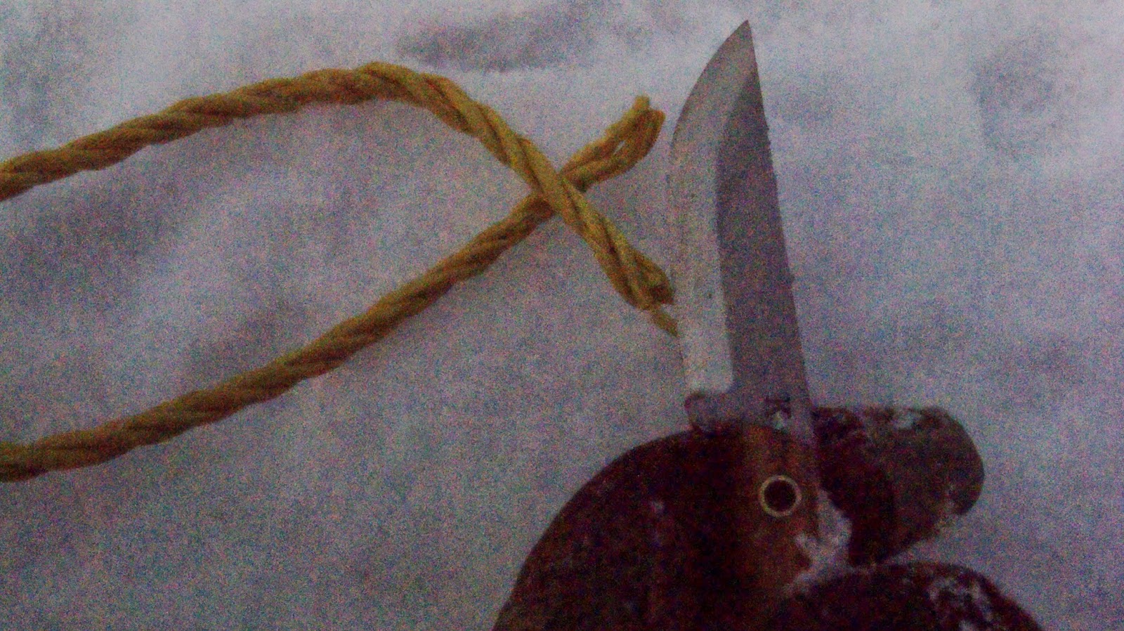 cord%2Bcut.jpg