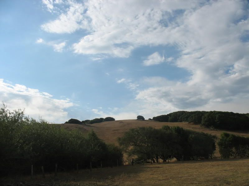 IMG_0730.jpg