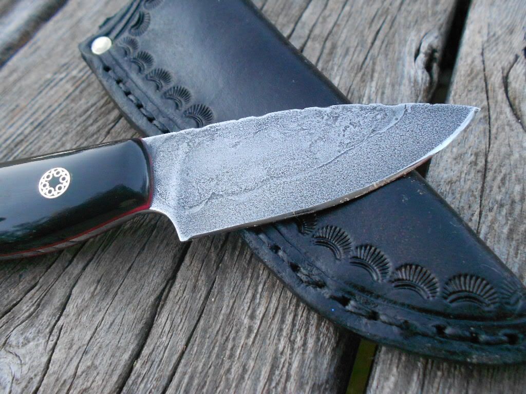 Buffaloand1095028.jpg