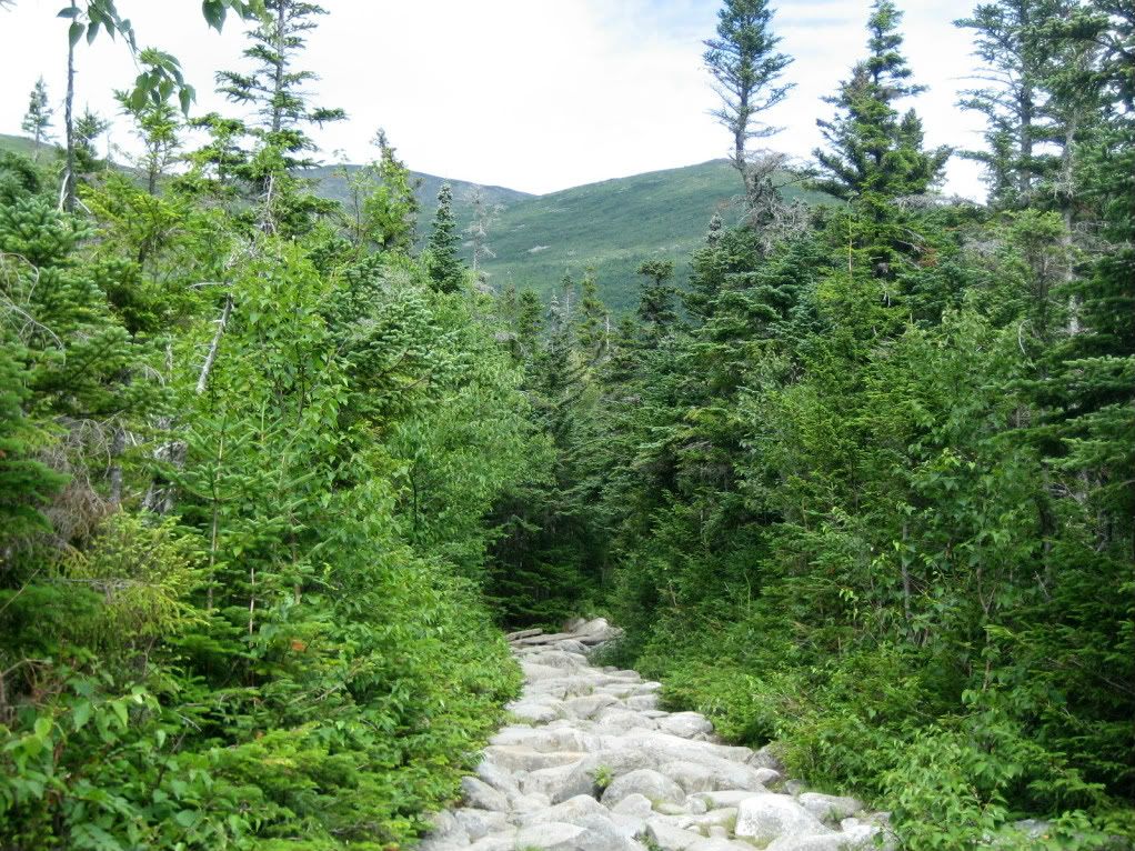 MtWashington041.jpg