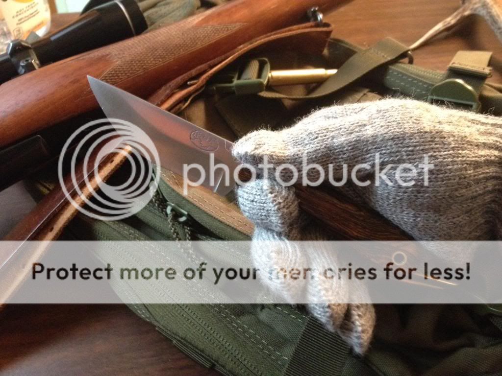 LCP-Bocote4_zps49733f75.jpg